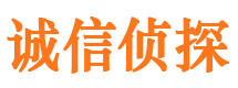 月湖市私人侦探